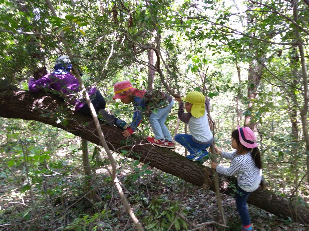 9/25子育て広場開催　豊田市の里山で活動する、大自然野外保育森のようちえん　とよた　森のたまご。園舎を持たない幼稚園です。